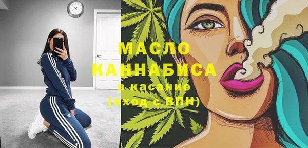 ECSTASY Инсар