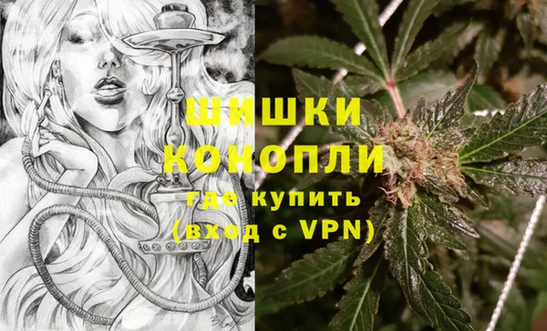 ECSTASY Инсар