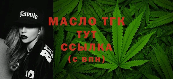 ECSTASY Инсар