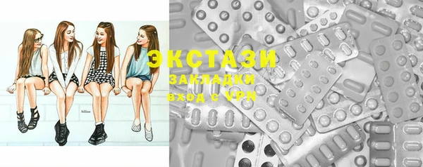 ECSTASY Инсар