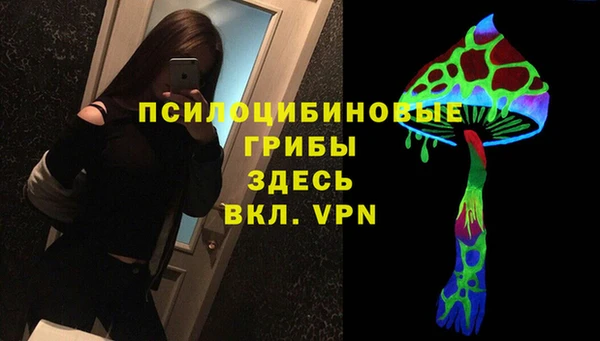 ECSTASY Инсар